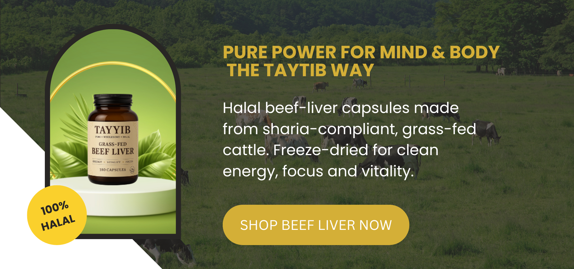 slider image 1621243260e1af0c20-0