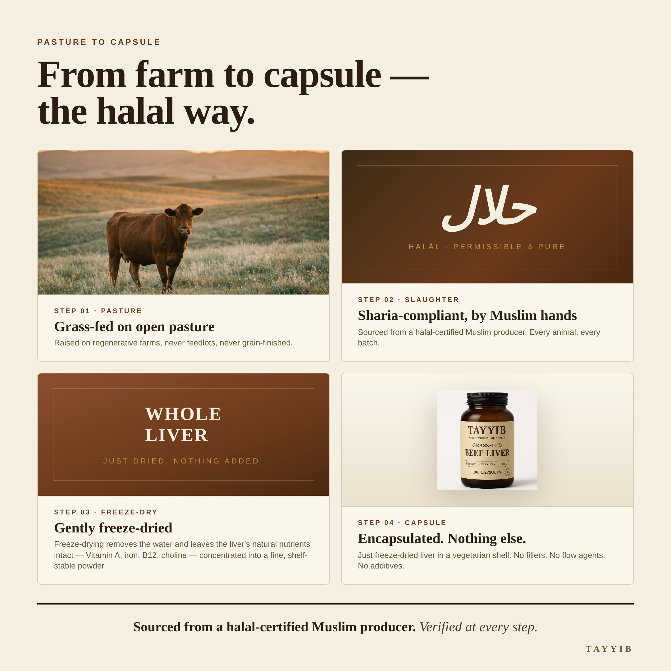 Halal-Sourced Beef Liver Capsules for Energy, Focus & Strength